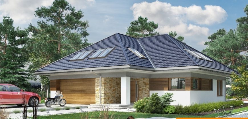 Projekt domu PD029