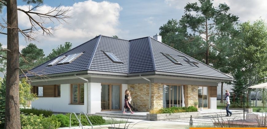 Projekt domu PD029