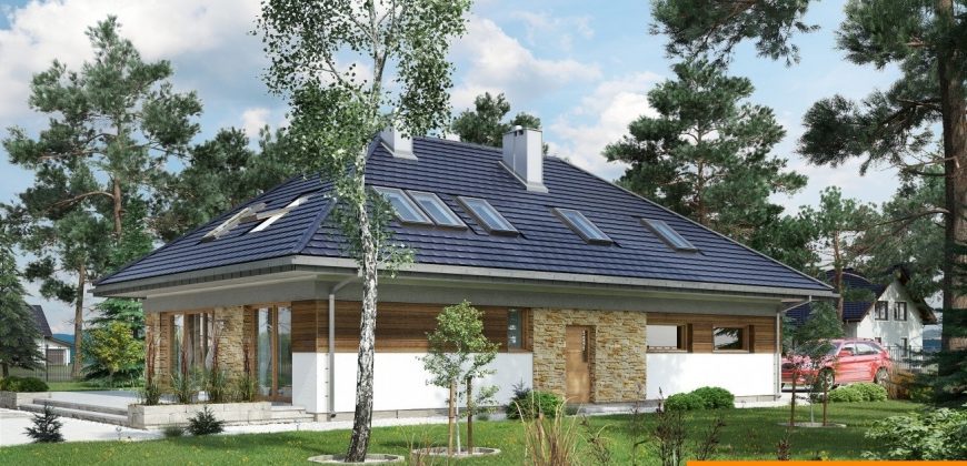 Projekt domu PD029