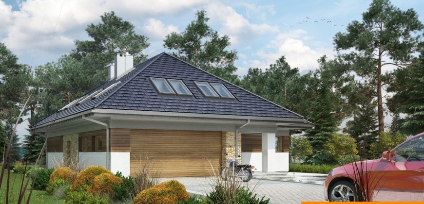 Projekt domu PD029
