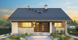 Projekt domu PD096
