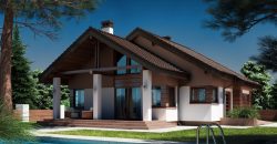 Projekt domu PD099