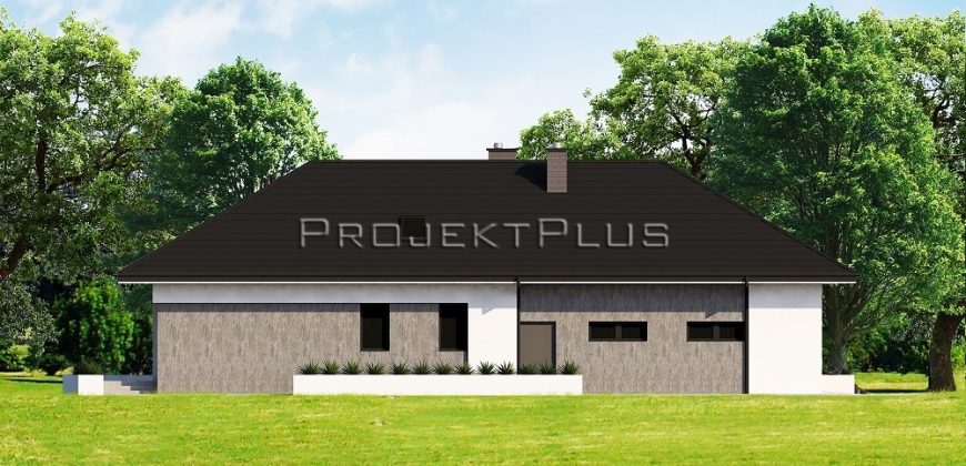 Projekt domu PD161
