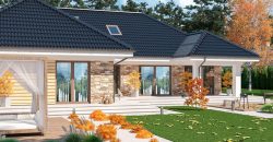 Projekt domu PD165