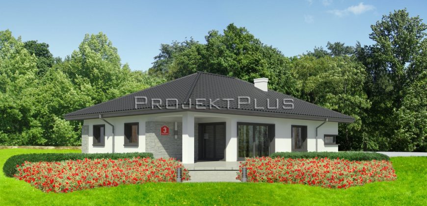 Projekt domu PD195