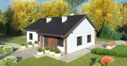 Projekt domu PD112