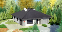 Projekt domu PD273