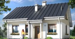 Projekt domu PD311