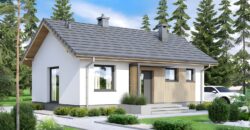 Projekt domu PD321