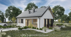 Projekt domu PD665
