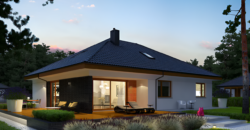 Projekt domu PD810
