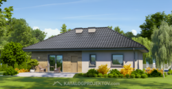 Projekt domu PD817