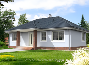 Projekt domu PD820