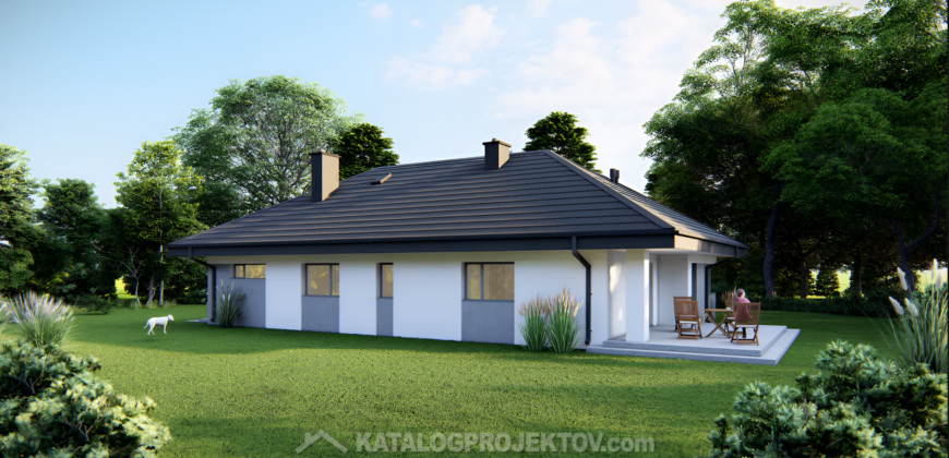 Projekt domu PD842