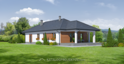 Projekt domu PD850