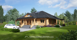 Projekt domu PD895