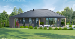 Projekt domu PD331