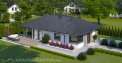 Projekt domu PD335