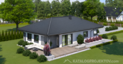 Projekt domu PD335