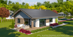 Projekt domu PD336