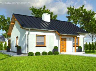 Projekt domu PD393