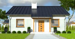 Projekt domu PD393