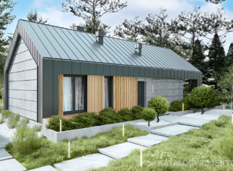 Projekt domu PD368