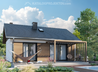 Projekt domu PD369